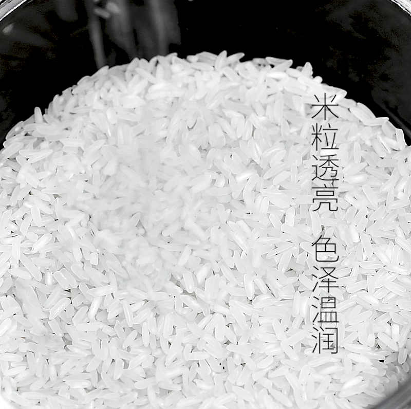 大米产品视频主图（图ZMTMwMTEzNDQw） - 产品摄影 - 站酷设计师萧摇风原创素材 - 站酷ZCOOL