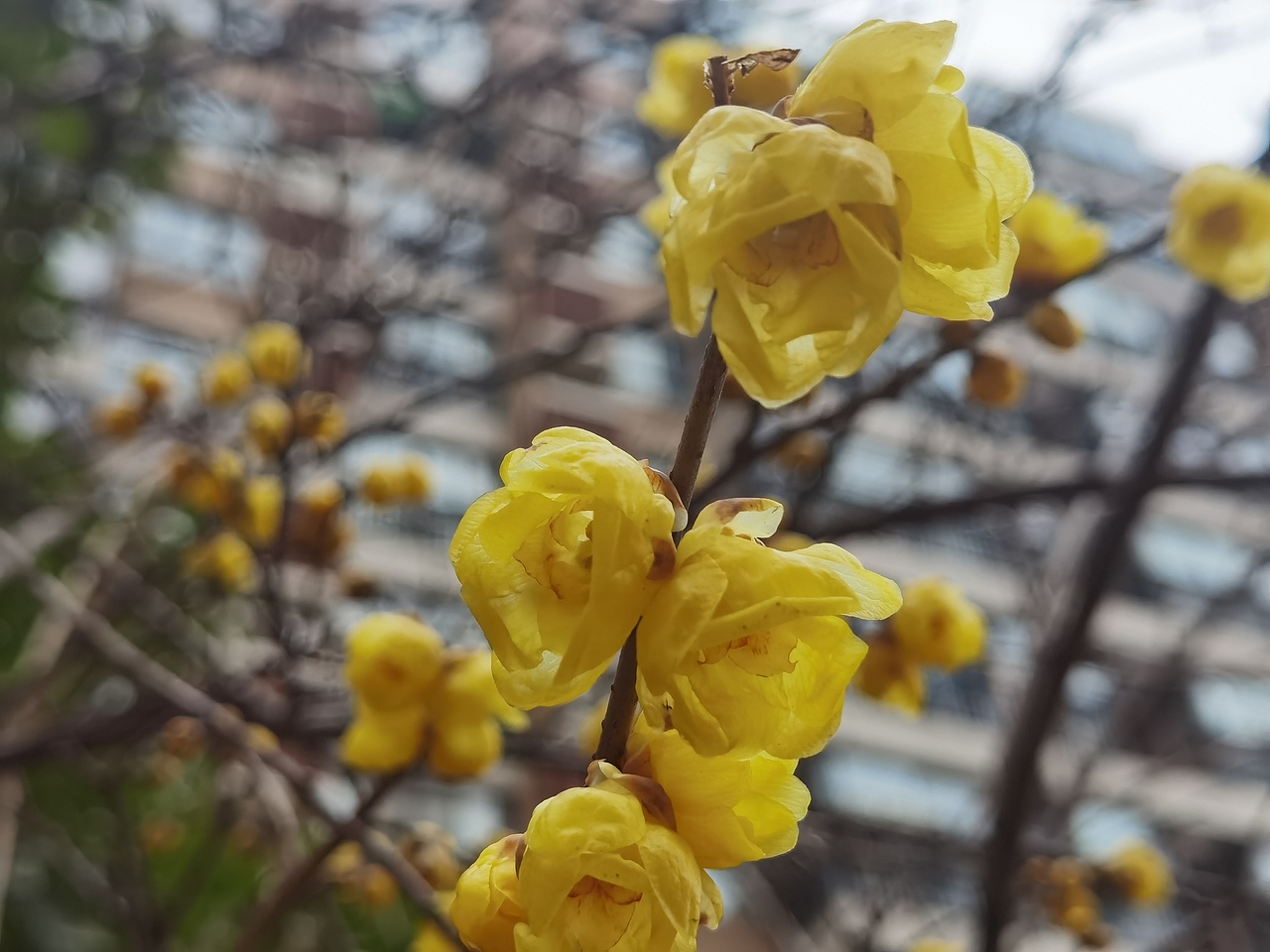 春日到来之前（图ZMjk1MjI2MDI4） - 风光摄影 - 站酷设计师星艾礼原创素材 - 站酷ZCOOL