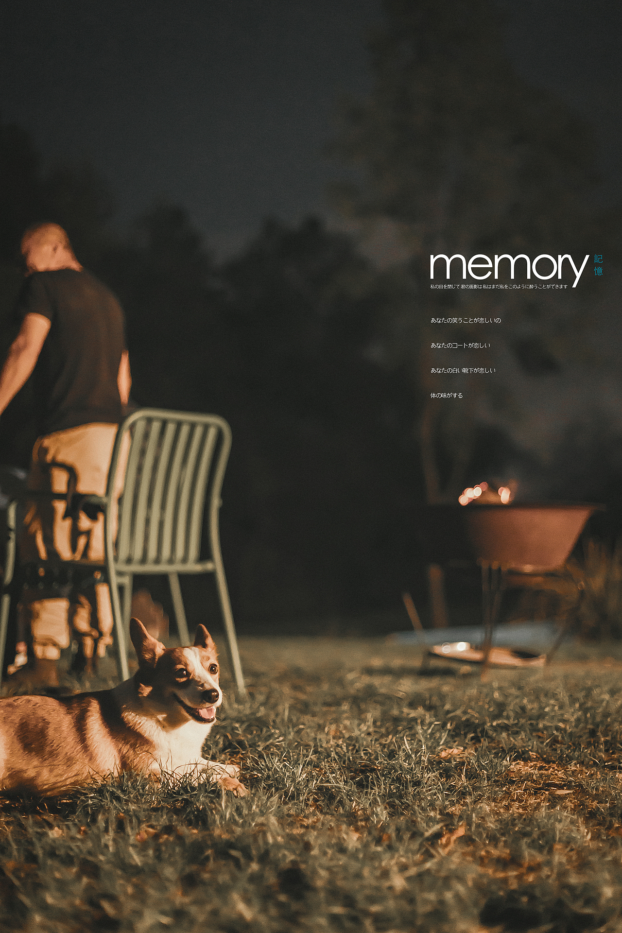 啤酒烧烤狗狗,惬意的春天