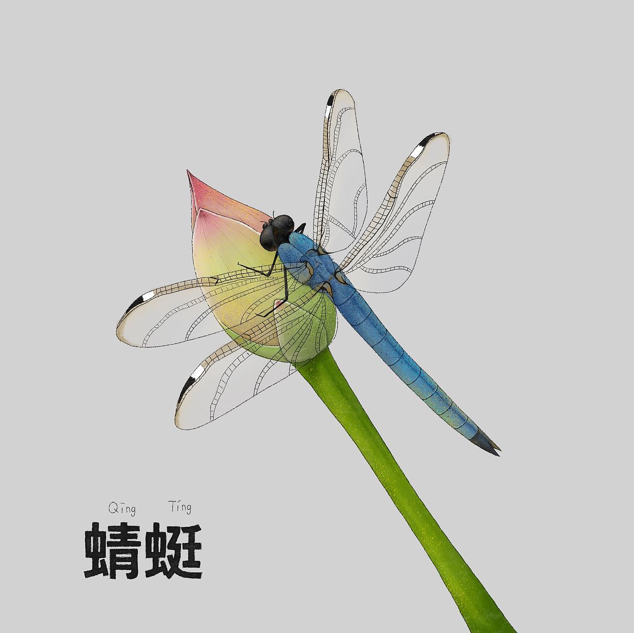 动植物主题插画