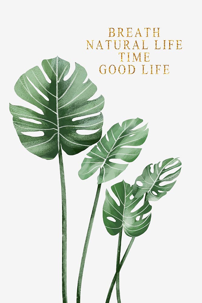 2022小清新香格里拉定制（图ZMjkwNzI5NzY4） - 商业插画 - 站酷设计师窗帘图库原创素材 - 站酷ZCOOL