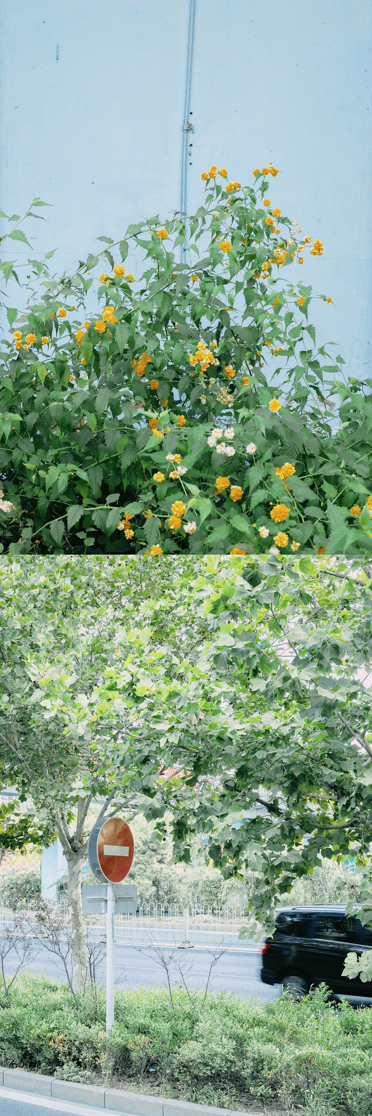 关于北京的夏天（图ZMjIwNDA5MjQ0） - 风光摄影 - 站酷设计师二夭八原创素材 - 站酷ZCOOL