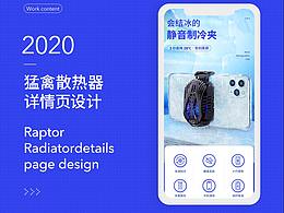 2020部分详情页合集