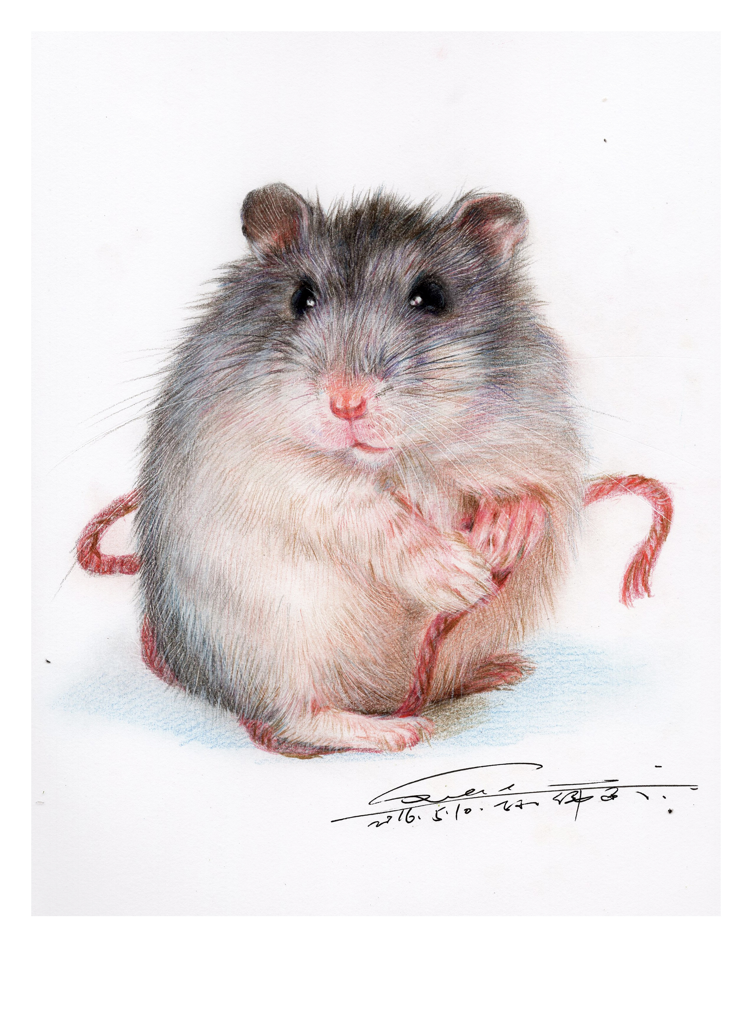 子小伟彩铅作品,都是今年画的练习,还有高清步骤图,感谢大家的支持_子