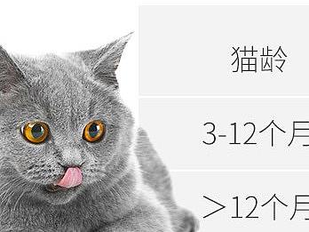 猫粮详情页