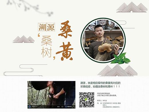 挚梦科技网站建设客户案例（四）