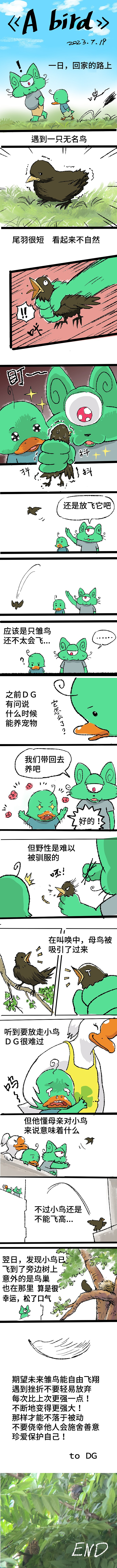 貓秀劇場(chǎng)條漫《A bird》日常clog（圖ZMzQ2MTcxNzc2） - 短篇/格漫 - 站酷設(shè)計(jì)師文秀文秀原創(chuàng)素材 - 站酷ZCOOL