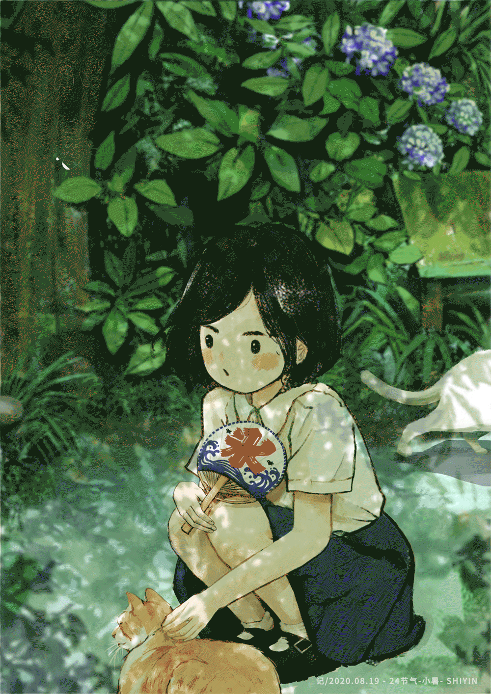 24节气-小暑(过程+动图)