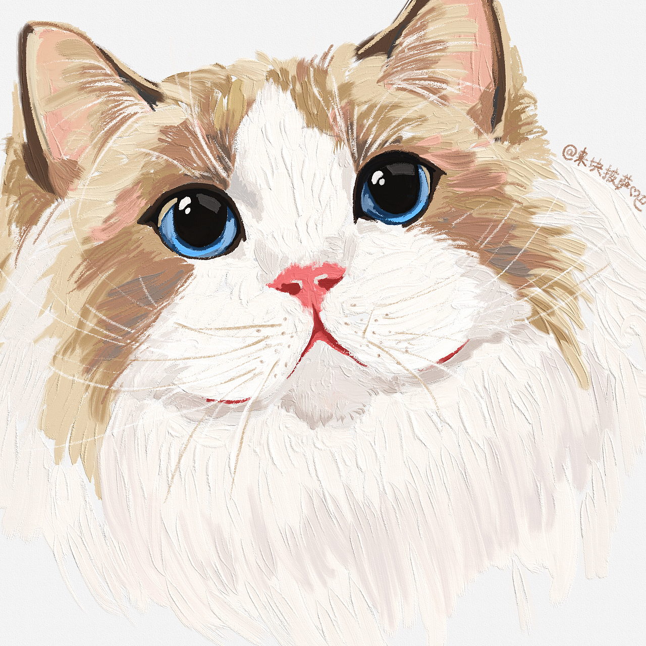 布偶猫厚涂练习