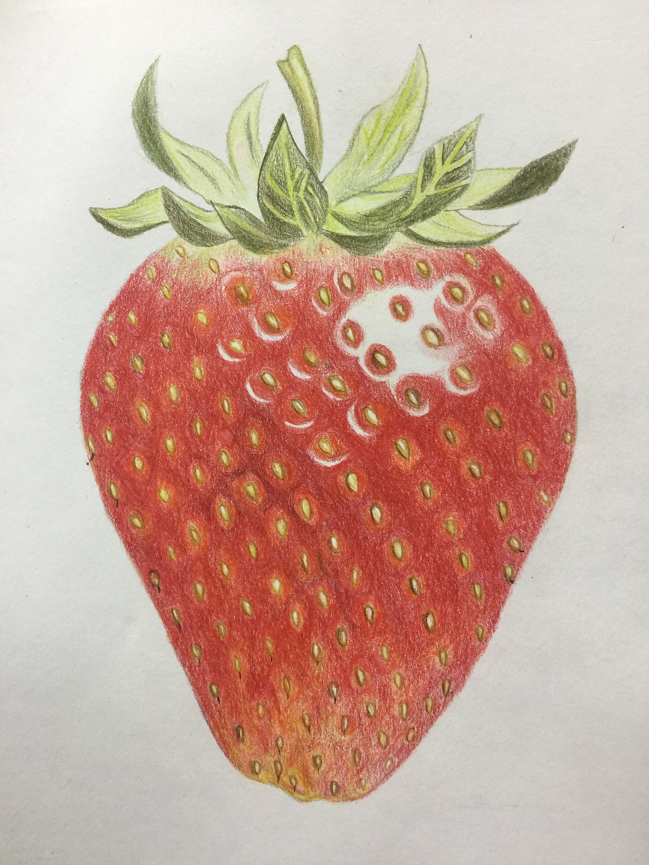 手绘草莓（图ZNzg5NzYxNjQ=） - 艺术插画 - 站酷设计师vispoe原创素材 - 站酷ZCOOL