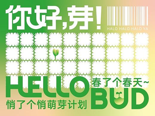 HELLO BUD - 你好，芽！