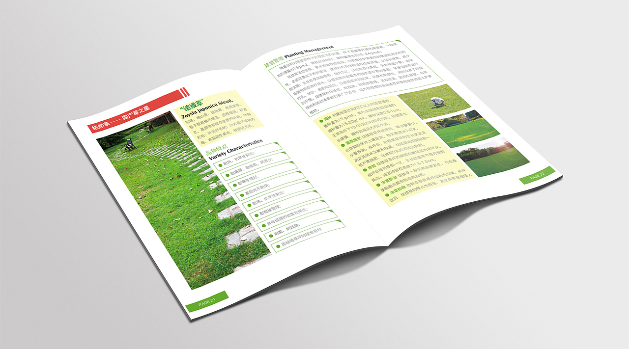 景观草木画册（图ZOTQyMTMwODQ=） - 书籍/画册 - 站酷设计师龙哥哥家小公举原创素材 - 站酷ZCOOL