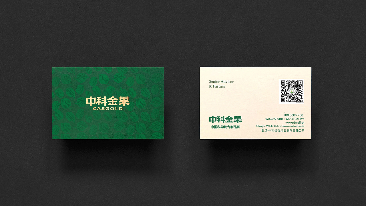 中科金果VIS设计