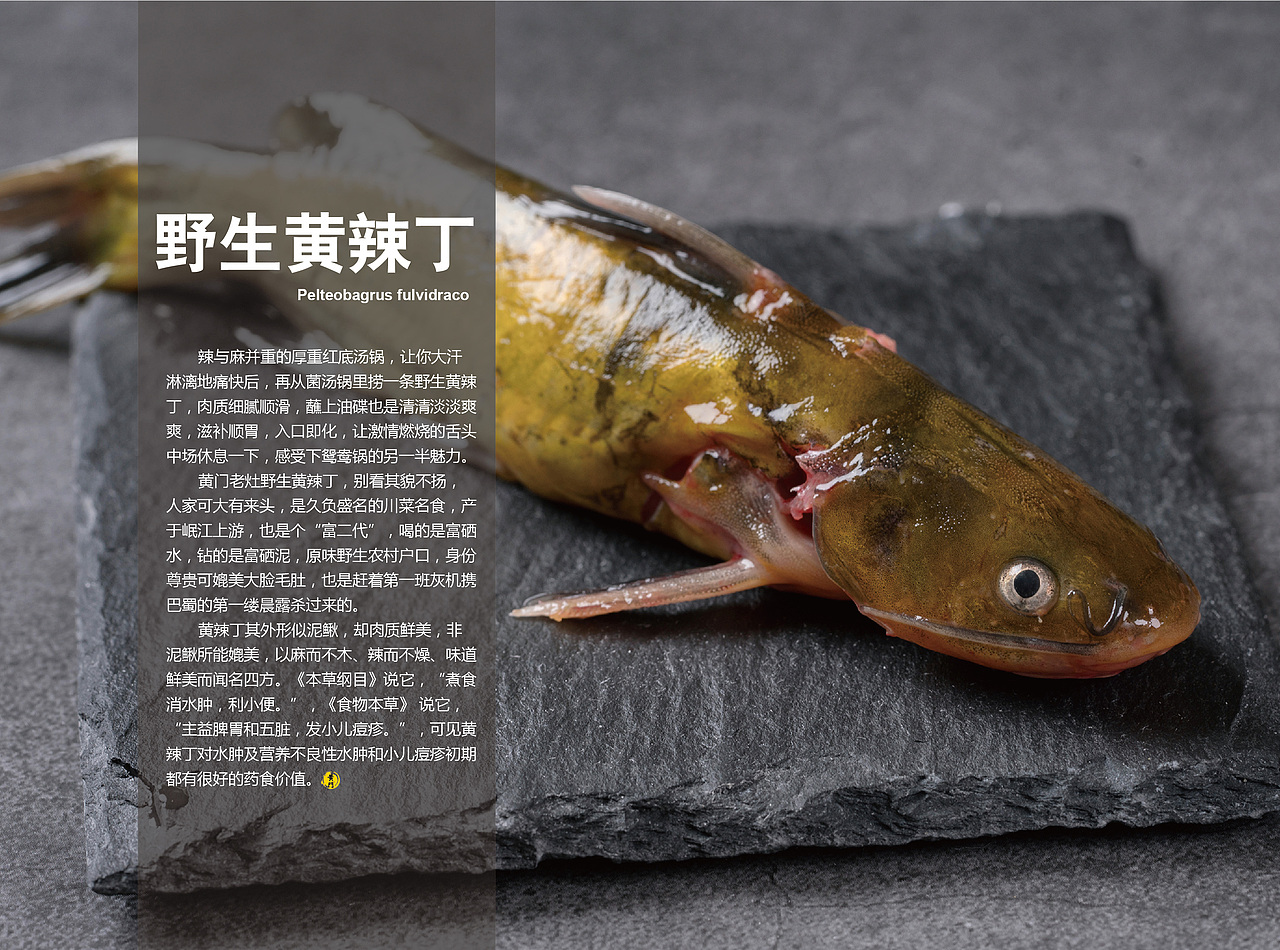【手册】老灶火锅产品手册（图ZMTE5ODkzOTYw） - 书籍/画册 - 站酷设计师韩欧文原创素材 - 站酷ZCOOL