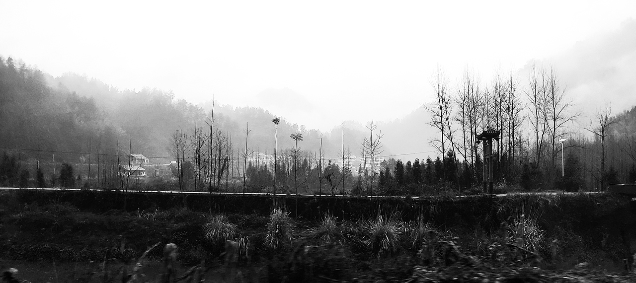 沿途景色,赋诗一首。