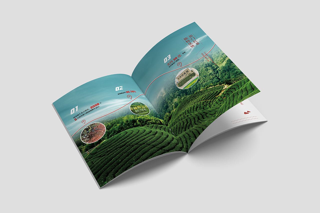 祁门红茶品牌画册设计(已商用)