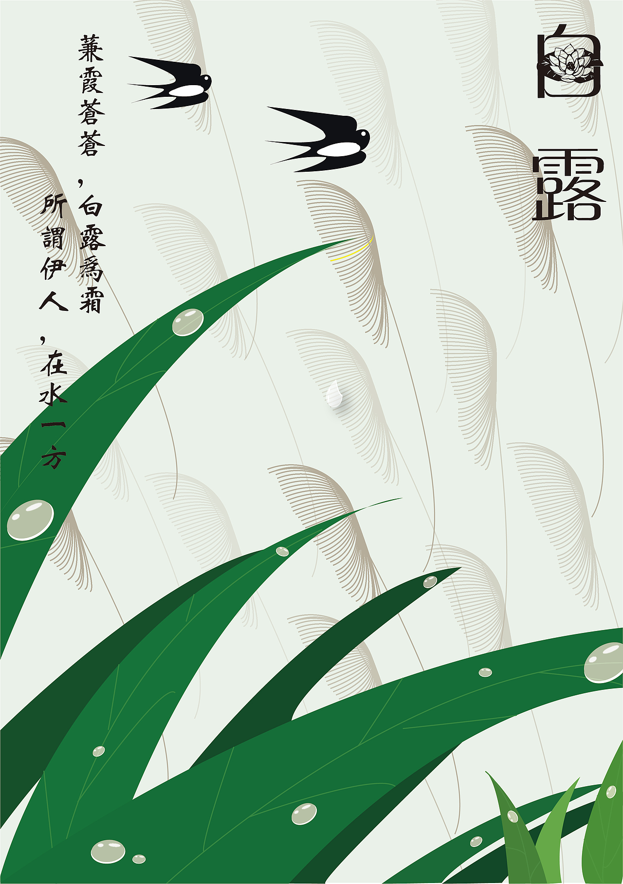 插画设计—24节气白露