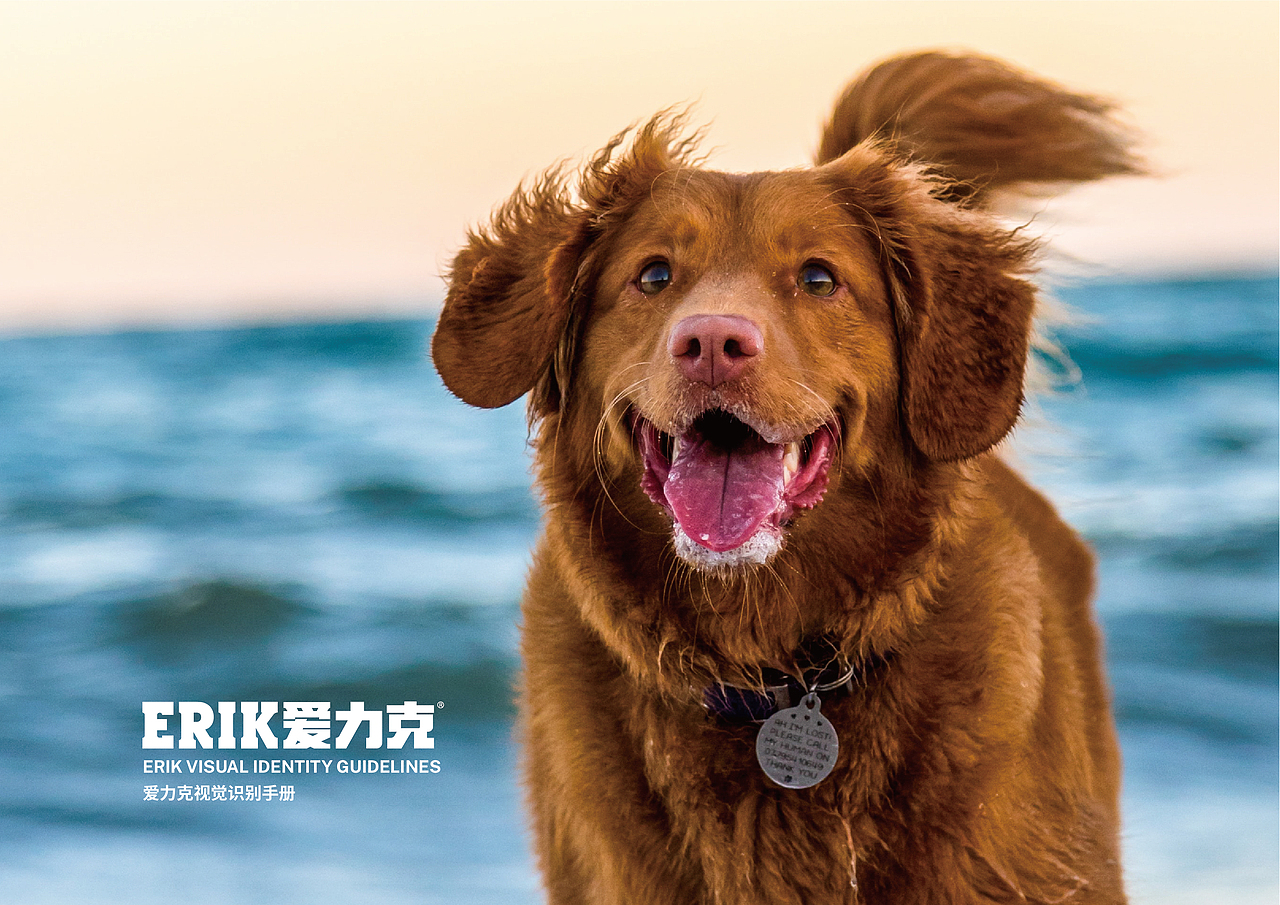 ERIK爱力克·宠物品牌VIS设计（图ZMjc4MjU4OTY4） - 品牌 - 站酷设计师明明Mindy原创素材 - 站酷ZCOOL
