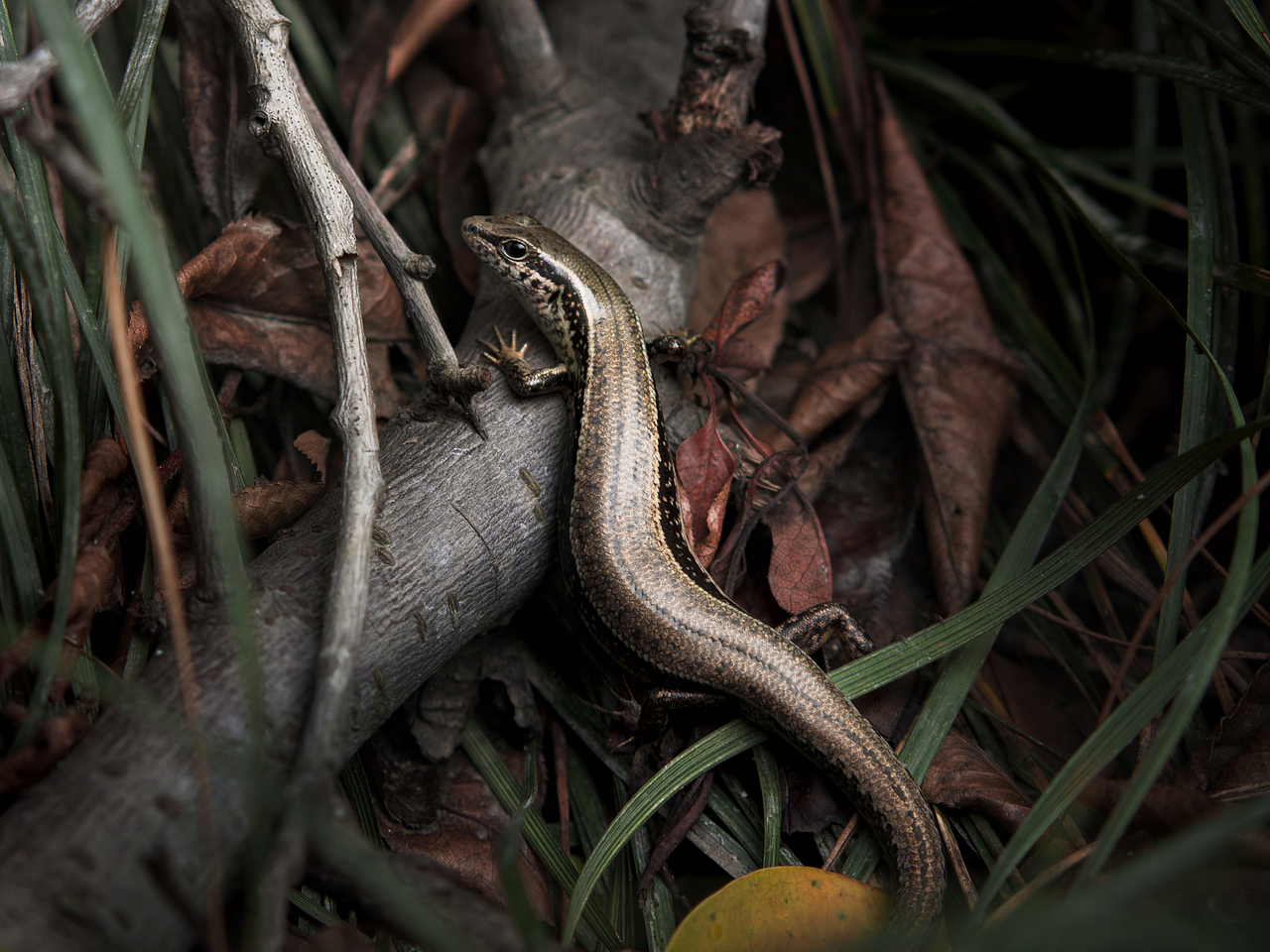 日常攝影（圖ZMTIxNDkyNjY0） - 風(fēng)光攝影 - 站酷設(shè)計師余幾點原創(chuàng)素材 - 站酷ZCOOL