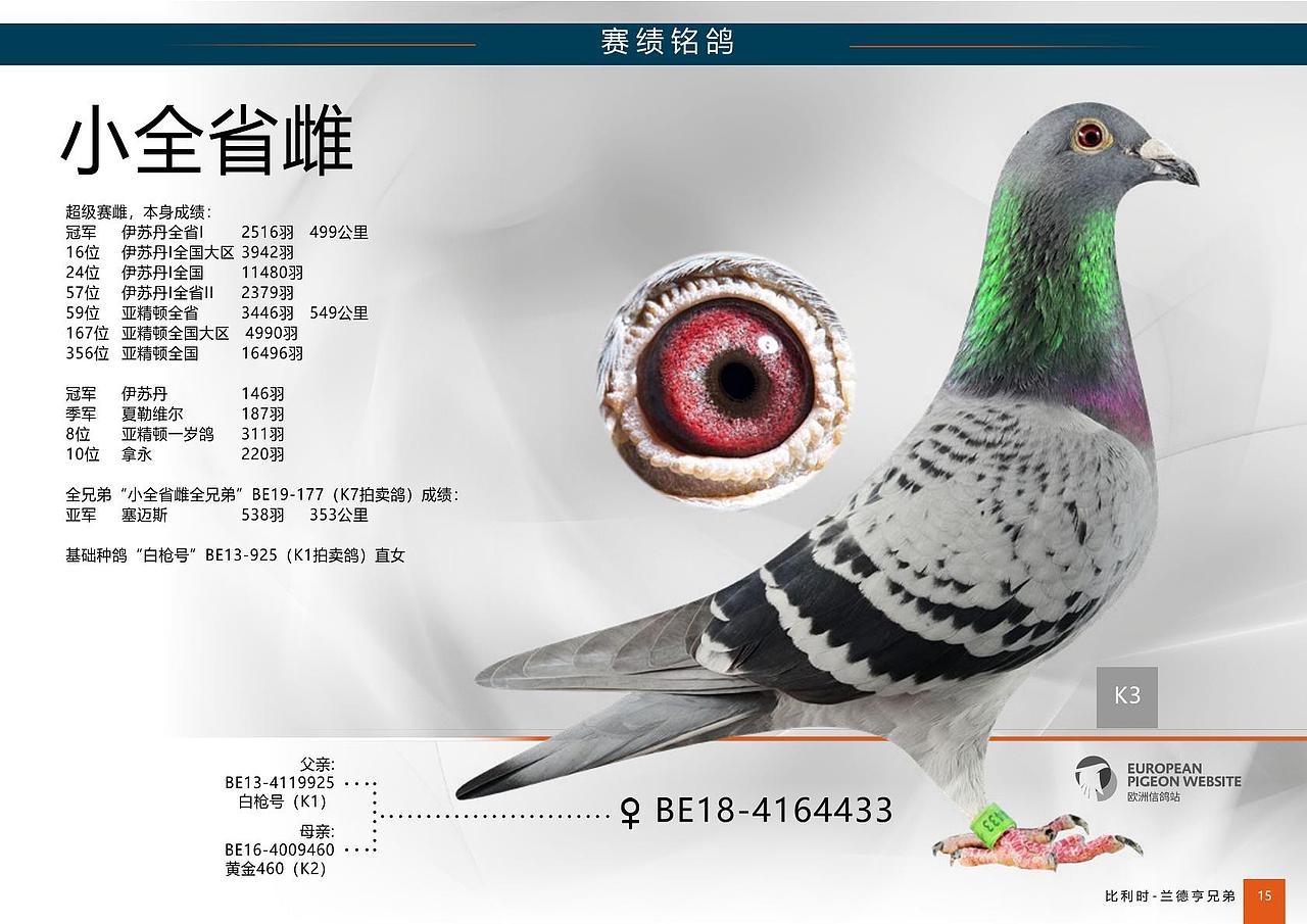 中文畫冊（圖ZMjQ1MDMxNzU2） - 書籍/畫冊 - 站酷設(shè)計師花綴磨墨原創(chuàng)素材 - 站酷ZCOOL