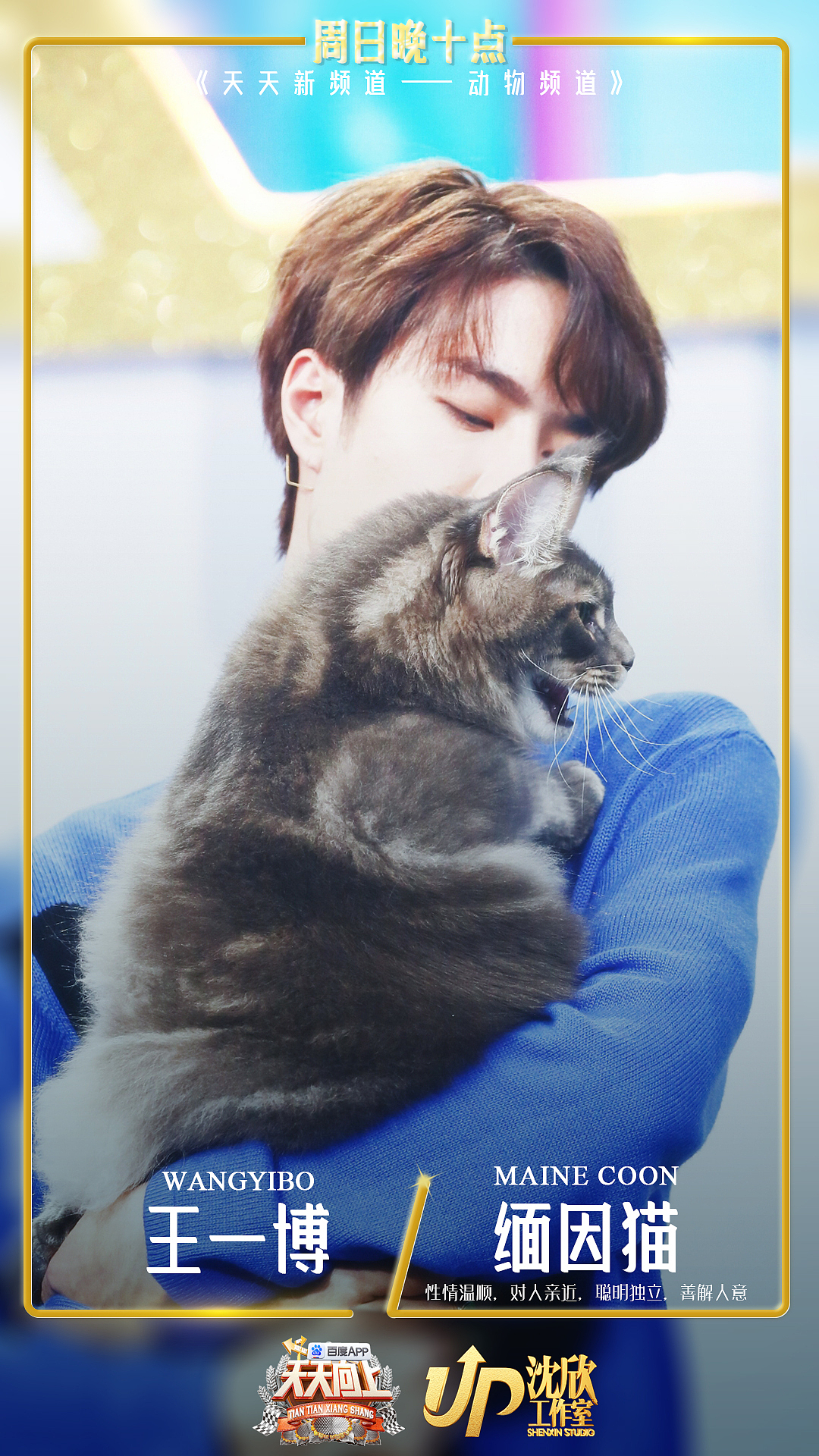 个人节目海报设计