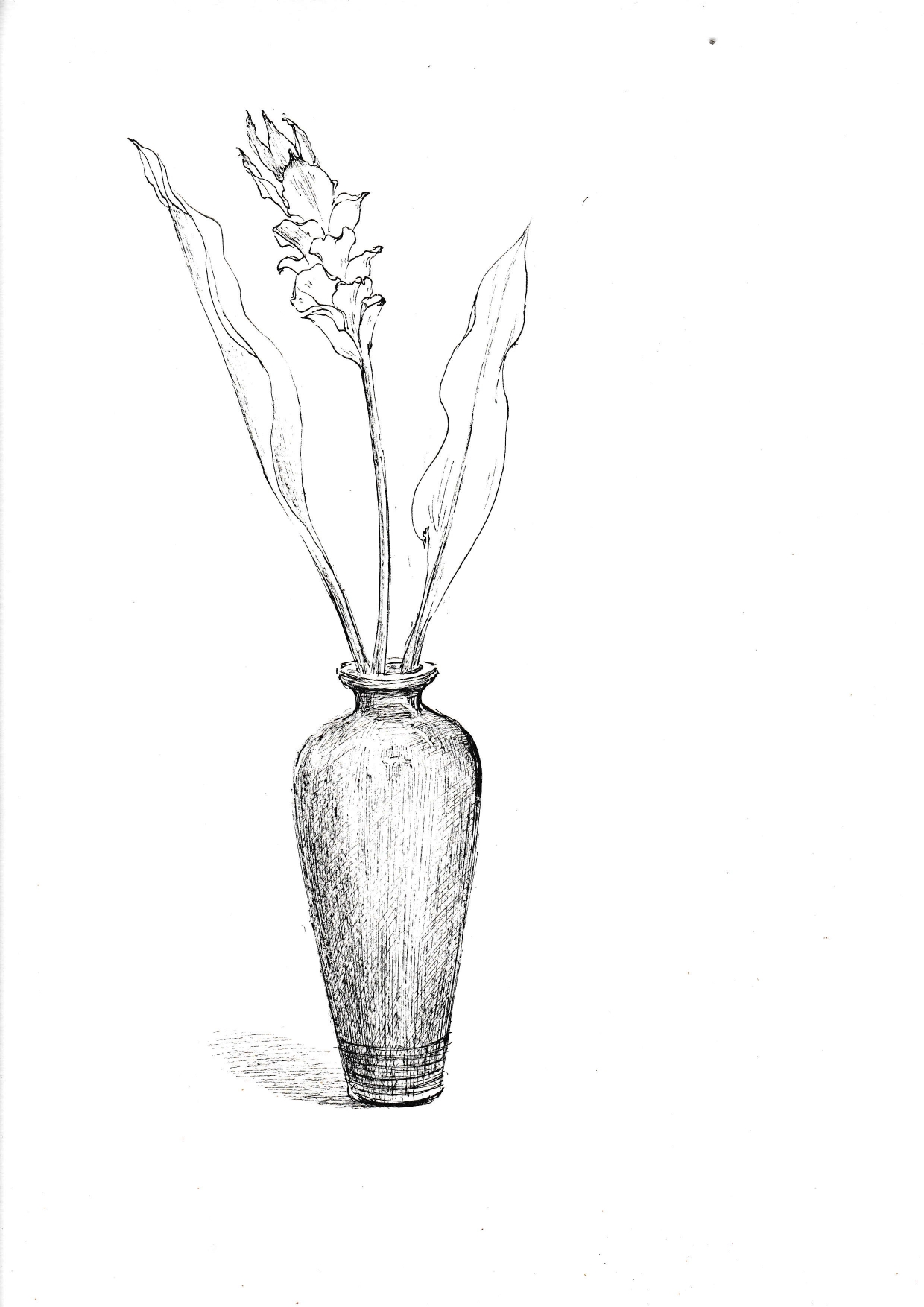 花瓶素描画简单图片