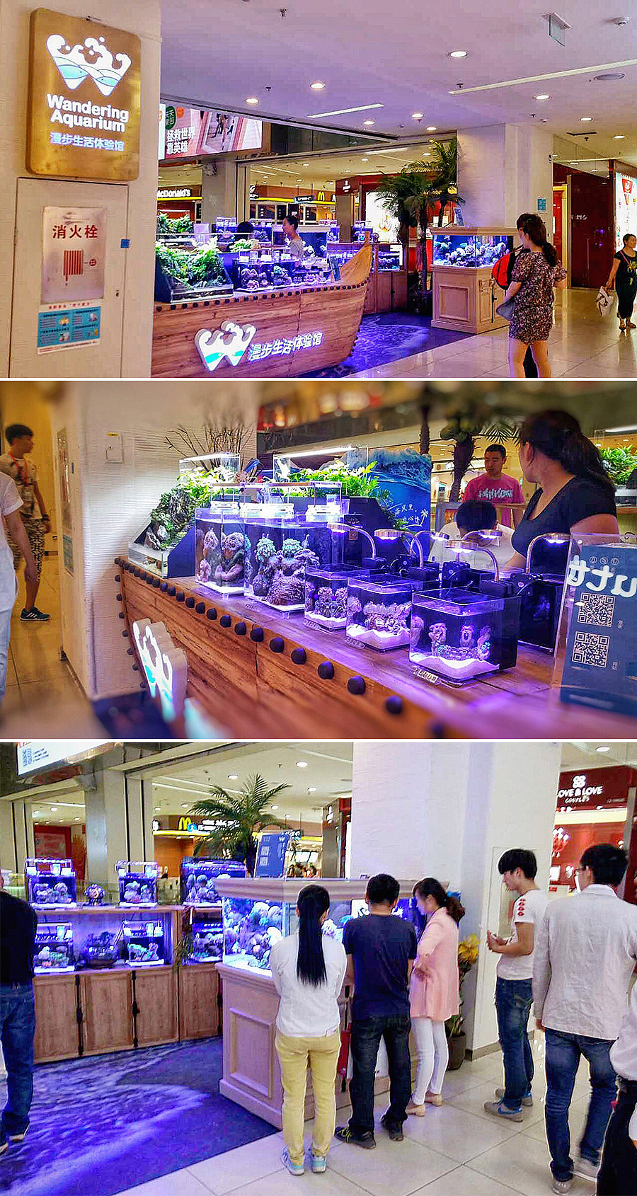 北京漫步水族logo设计 | Beijing Wandering Aquarium logo（图ZMjk5NDYyNjA=） - Logo - 站酷设计师会飞的辉原创素材 - 站酷ZCOOL