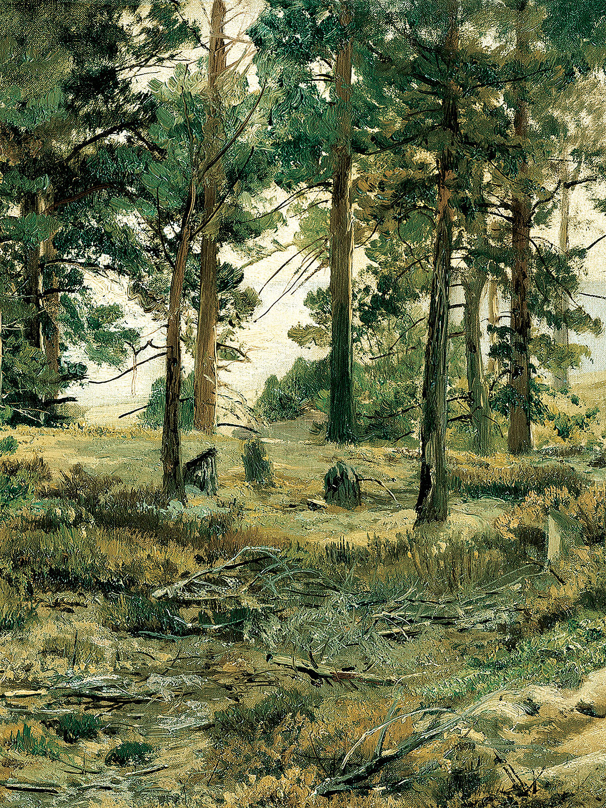 我的一幅风景油画习作《小树林》