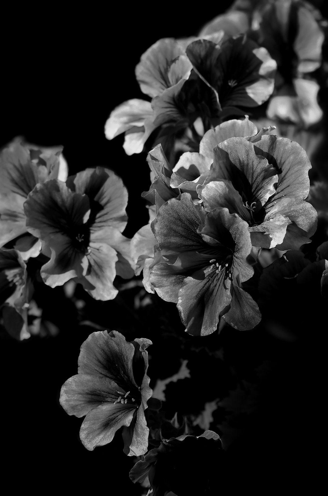 山坡上的孩子的个人主页（封面预览） - 主页封面设置 - 站酷设计师山坡上的孩子原创素材 - 站酷ZCOOL