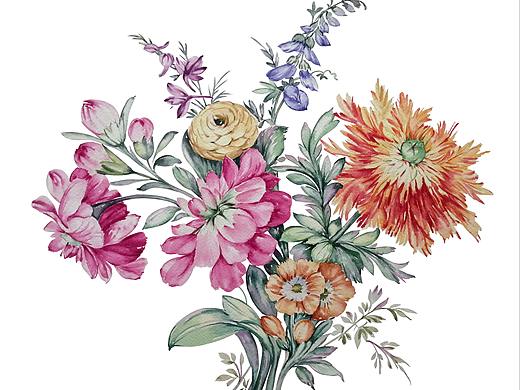 水彩花卉系列之手捧花