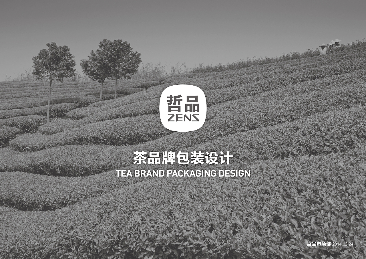 哲品茶品牌提案
