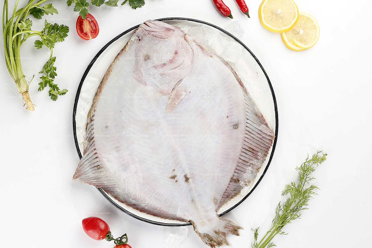 拍照又认识了一堆鱼鱼虾虾丨海鲜拍起来丨飞鸟电商