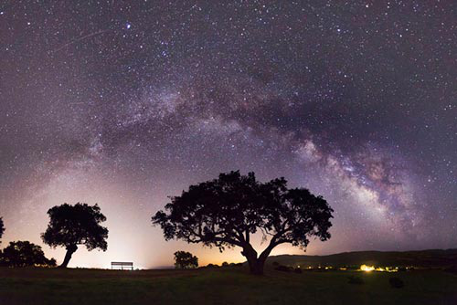 高感光度 高感光度