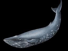 37℃溫度社區(qū) 微信海報(bào)