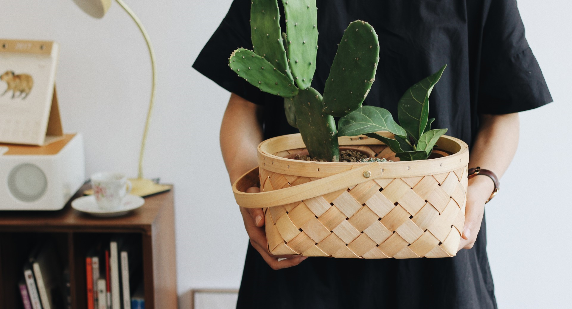 布朗的鹿的个人主页（封面预览） - 主页封面设置 - 站酷设计师布朗的鹿原创素材 - 站酷ZCOOL