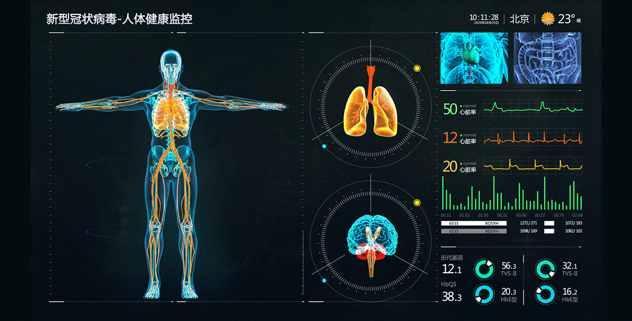 新冠肺炎数据可视化新视角（图ZMjMxMzE1NzI4） - 动效设计 - 站酷设计师聂永真原创素材 - 站酷ZCOOL