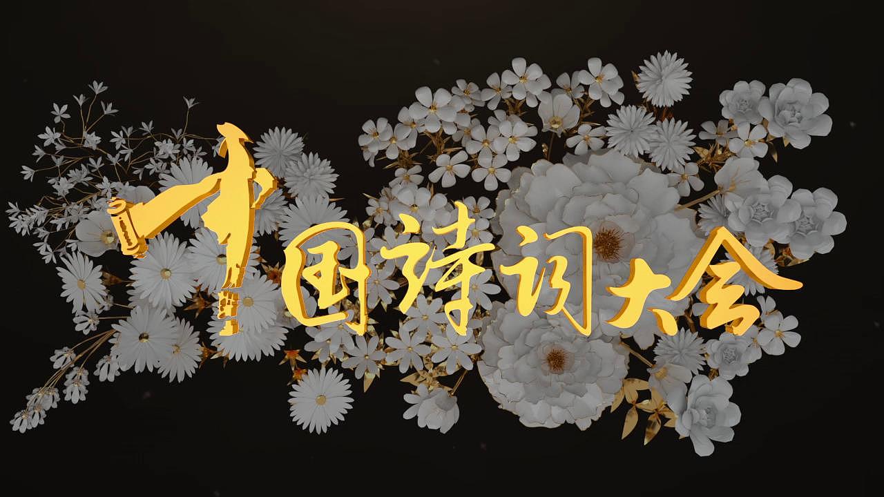 中国诗词大会节目落版