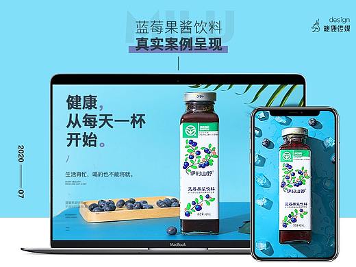 野生蓝莓汁浓缩原浆果酱无糖果汁蔓越莓汁进口饮料设计