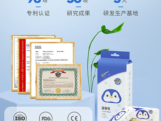 湿厕纸