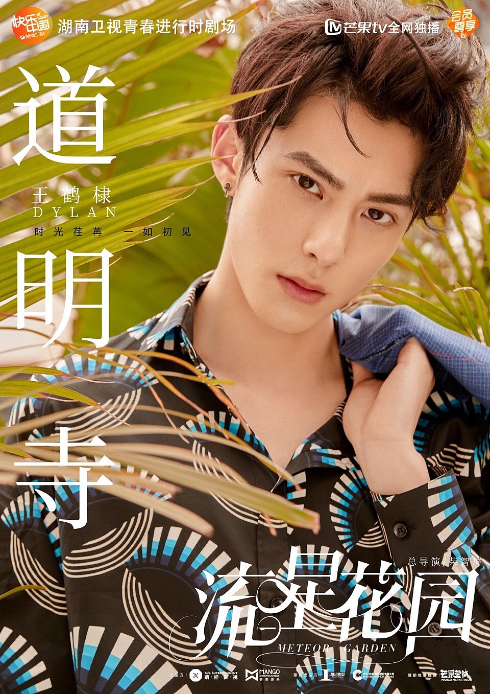 《流星花园》单人海报（图ZMTE5MzUxNjcy） - 海报 - 站酷设计师满意门视觉原创素材 - 站酷ZCOOL