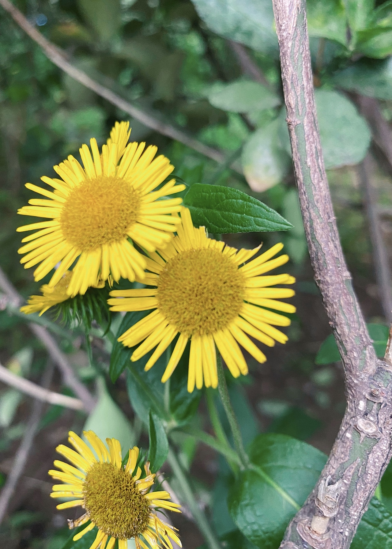 夏末秋初（图ZMjIxMDg2MzQ0） - 风光摄影 - 站酷设计师探游新生原创素材 - 站酷ZCOOL
