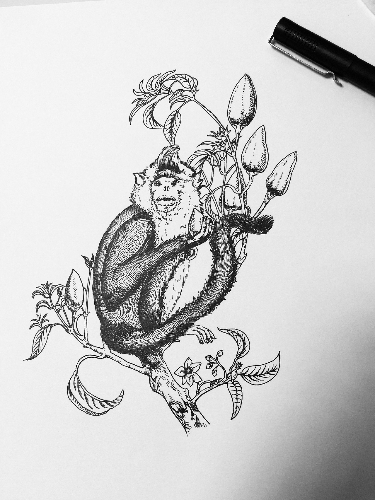 老厨娘小罐酱包装设计（图ZMTgxMjQ0MzQ0） - 品牌 - 站酷设计师插画师崔萌萌原创素材 - 站酷ZCOOL