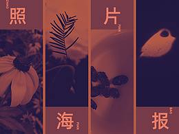 2019旧作-照片海报