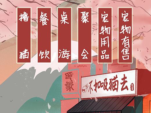 猫咖，撸猫