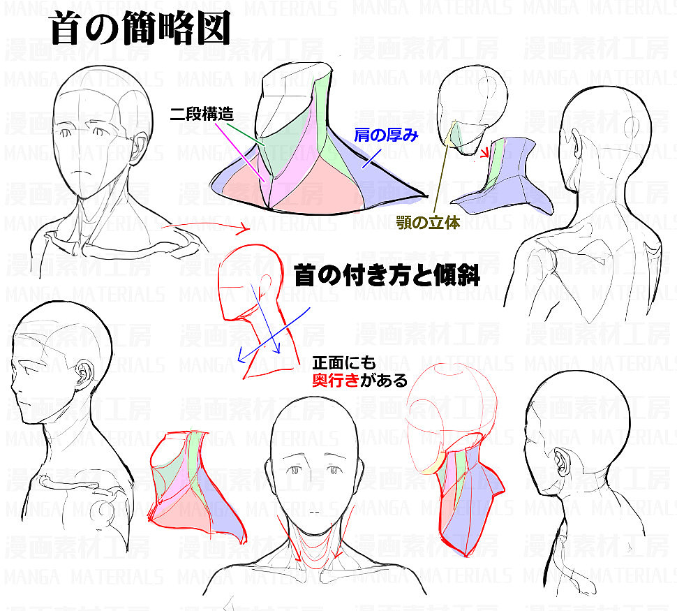 「素材」首の骨と筋肉変化+首可動のフリ part 01