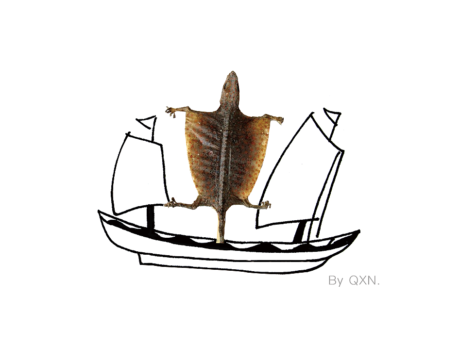 中药也能萌萌哒【创意画三】（图ZNjA4MjEyODg=） - 艺术插画 - 站酷设计师冬天吃西瓜原创素材 - 站酷ZCOOL