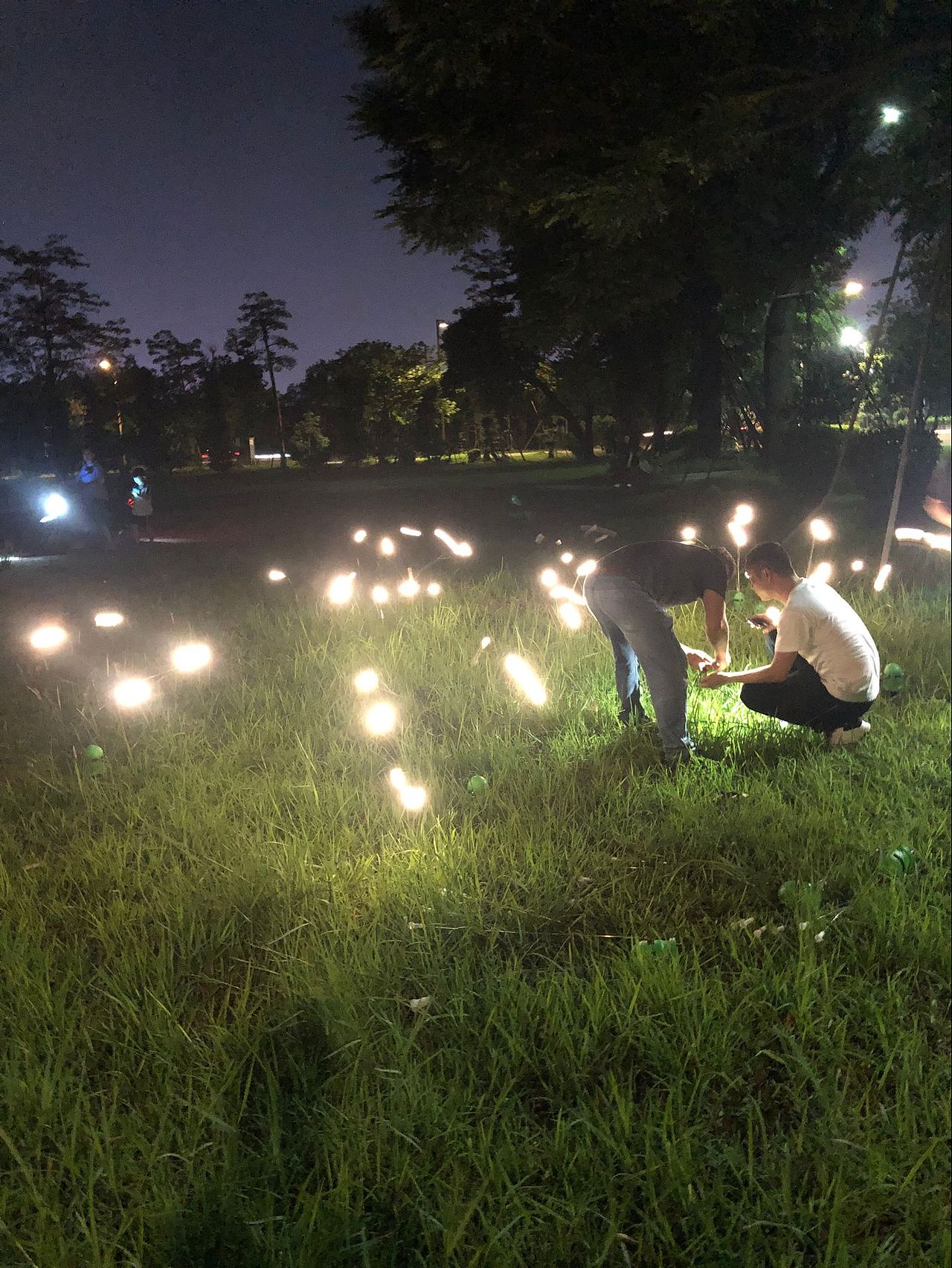 中山公园景观装饰 夜空星星灯 摇曳灯 led景观灯防水灯