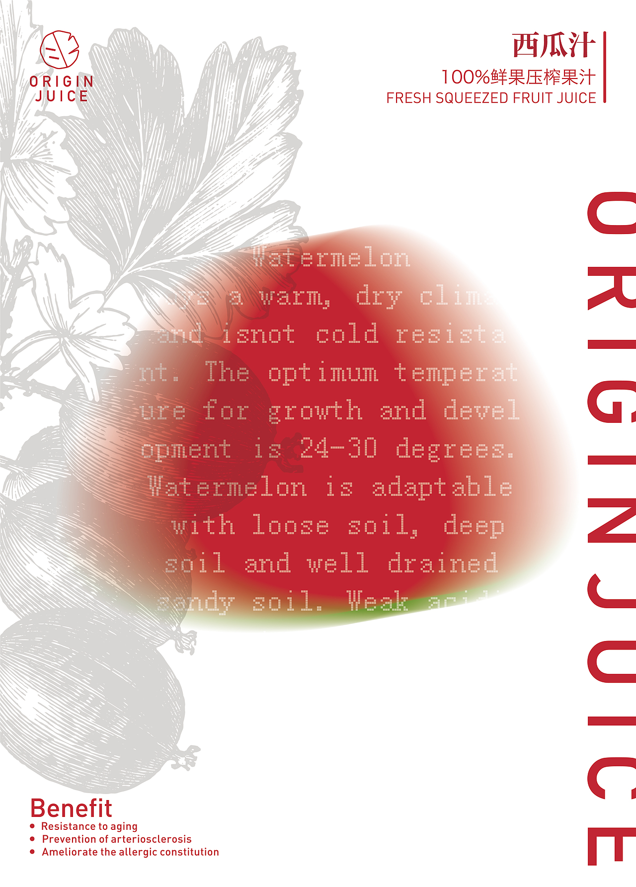 果蔬汁ORIGIN JUICE（图ZMjA4NzU2NDcy） - 品牌 - 站酷设计师梦想身高一米六原创素材 - 站酷ZCOOL