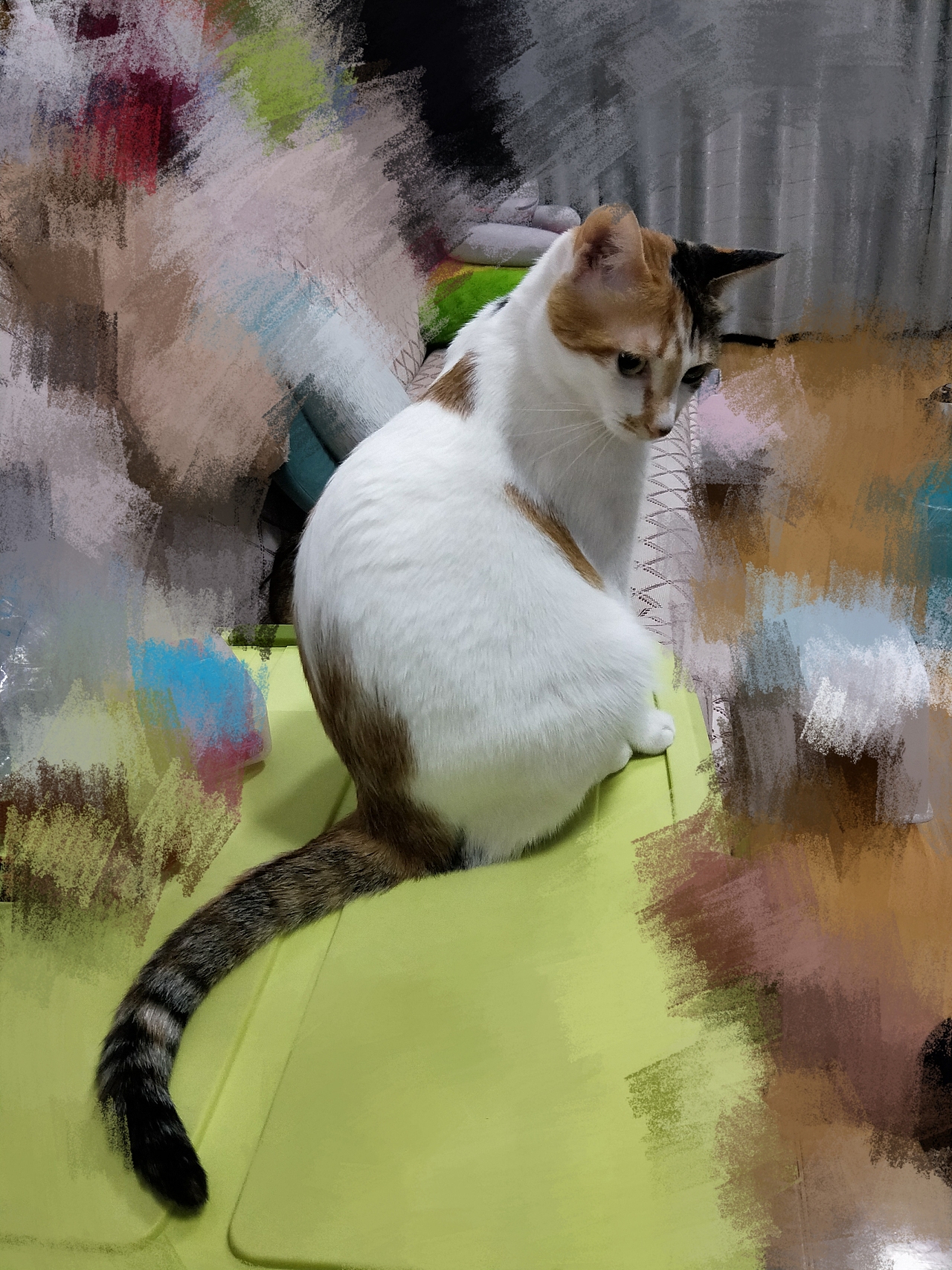 临摹自家阿猫（图ZMTU4MjE5NDEy） - 新锐潮流插画 - 站酷设计师冻冻LOO原创素材 - 站酷ZCOOL