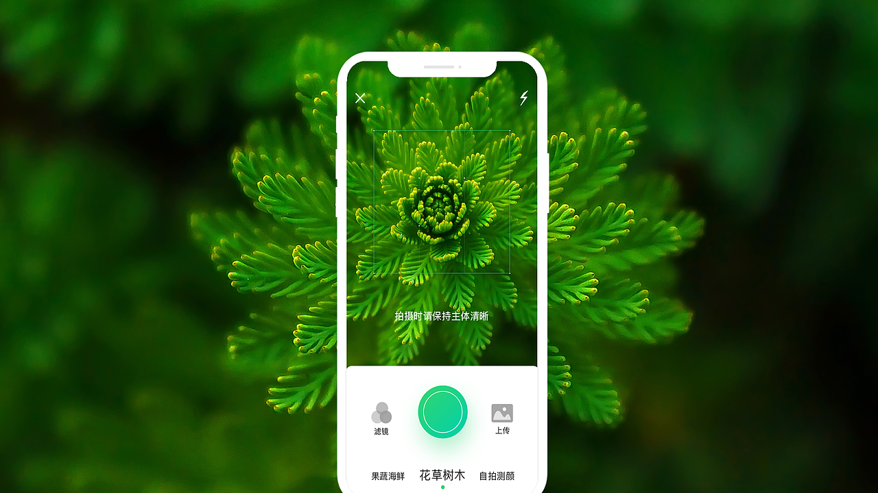 趣识APP（图ZMjA3OTg0MTA0） - APP界面 - 站酷设计师菲菲小姐原创素材 - 站酷ZCOOL